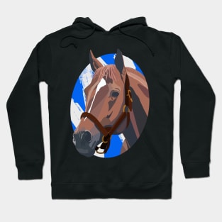 Secretariat Hoodie